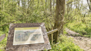 Moor Copse Nature Reserve (1)