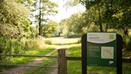 Ashford Hill Nature Reserve (2)