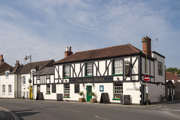 Stags Head (4)