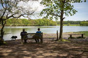 River Hamble Country Park (9)