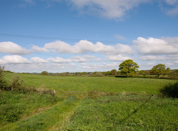Hazelbury Bryan (3)