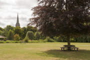 Salisbury City Centre (14)